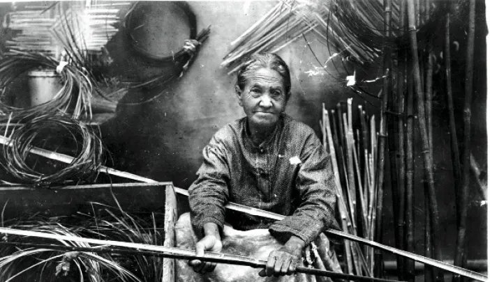Darden preparing river-cane splints for weaving, c. 1900.