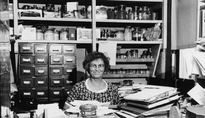 Sears in her Woods Hole office in 1960