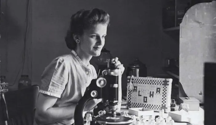 Ursula Bailey working in a Harvard geology laboratory, 1945