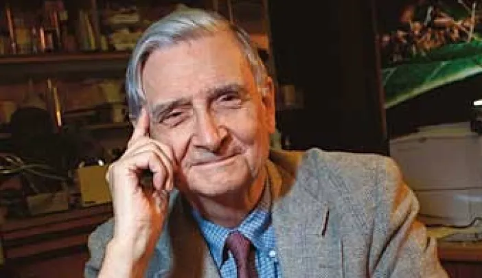 E. O. Wilson with his new <i>Pheldole</i> monograph and a specimen tray from the Museum of Comparative Zoology collection.