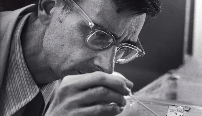 Photograph of E.O. Wilson observing ants