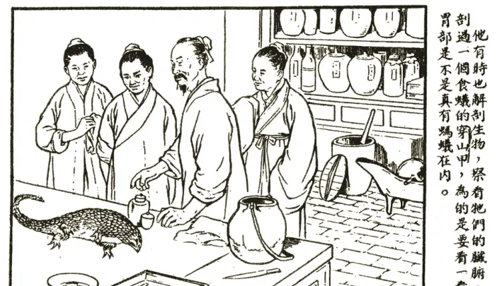 Li prepares to dissect a pangolin, from a popular pamphlet, <i>Li Shizhen: Great Scholar of Medical Drugs</i> (1955).