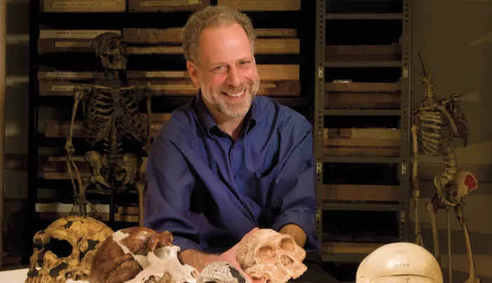 A skull session with human evolutionary biologist  Daniel Lieberman in the fossil room at the Peabody Museum.  Millions of years  of natural selection have shaped the human head. From left to right: a  Neanderthal; <i>Homo erectus; Homo habilis;  Australopithecus africanus; Pan troglodytes</i> (common chimpanzee);  <i>Homo sapiens</i> (human).  “Gonzo,” a Neanderthal skeleton, stands in the back.