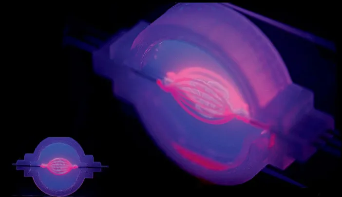 A serpentine proximal tubule (light pink) snakes through the center of a multi-layer network of blood vessels (hot pink), all created using a 3-D printer.