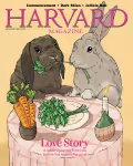 Two rabbits sharing a meal of carrots and greens on a tablecloth, with a warm yellow background.