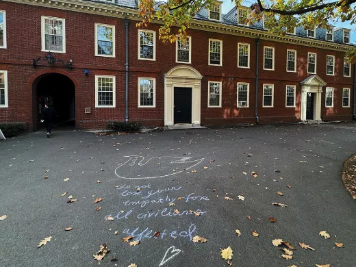 Sidewalk chalk, image of a dove of peace crying about lost civilian lives
