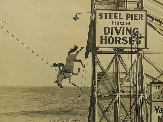 A woman and a horse jump off a large platform into water