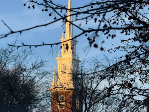 Historic church steeple framed by bare tree branches against a clear sky.