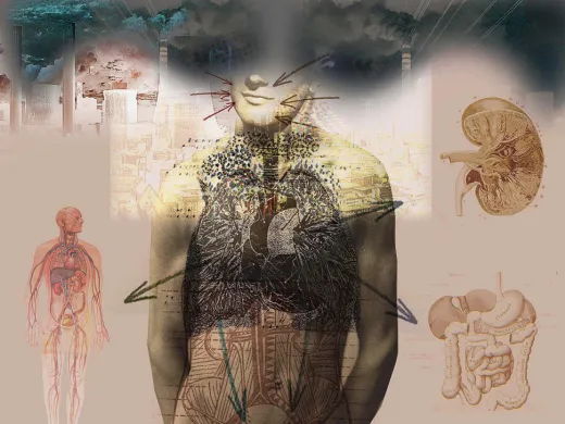 Illustration of human torso with affected organs highlighted