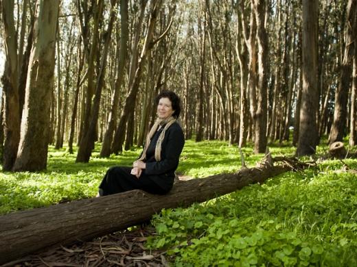 Laurie Wayburn finds both inspiration and solace in these protected wood- lands, within walking distance of her San Francisco office.