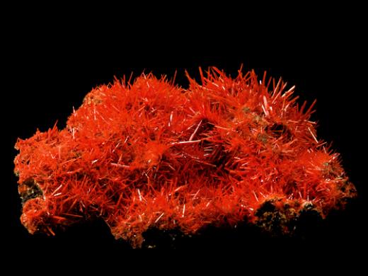 Crocoite from the Adelaide Mine in Tasmania