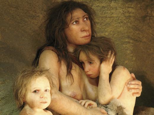 The ancestors of modern humans interbred with other early hominids, including Neanderthals. 