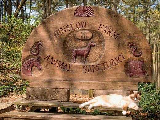 The evocative entrance to Winslow Farm Sanctuary