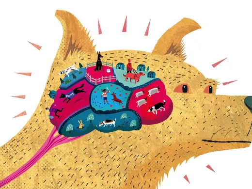 Illustration of a dog with a brain made up of different colorful regions depicting skills such as hunting and herding