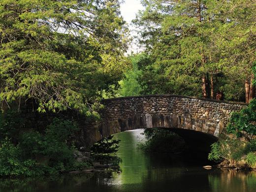 Photograph of stone bridge over a pond in a park 