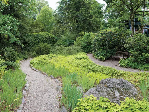 Meandering paths at Fairsted, the Frederick Law Olmsted National Historic Site. 