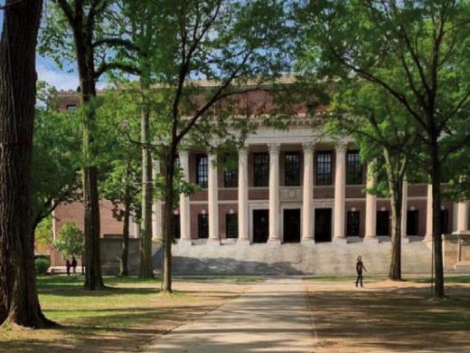 Photograph of hen turkey and poults in Harvard Yard