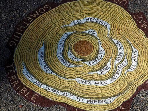 An image from Gilens's "Reading Forest"  installation, a sketched cross-section of a tress with words interspersed in the rings. They read: "The effects of climate change are rippling through the landscape and will intensify in ways that are difficult to predict."