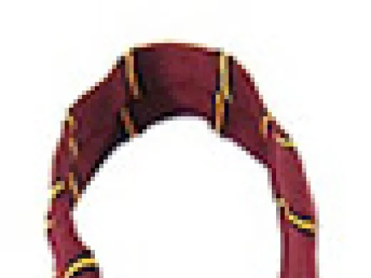 Photograph by Stu Rosner This class necktie belonged to Renny Little's father, Bertram K. Little ’23. His class colors were orange and black.
