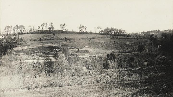 Black-and-white photo of a hill with bare trees