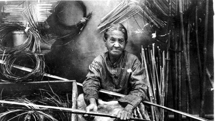 Darden preparing river-cane splints for weaving, c. 1900.