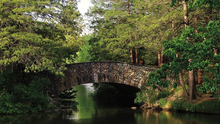 Photograph of stone bridge over a pond in a park 