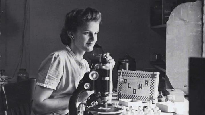 Ursula Bailey working in a Harvard geology laboratory, 1945