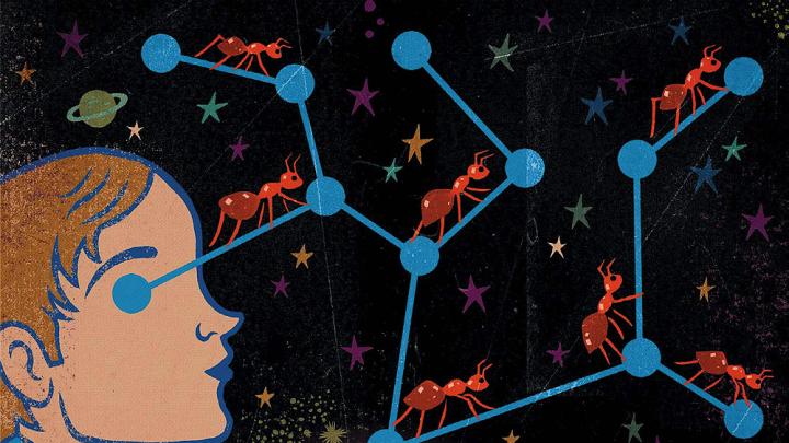 Illustration of a man looking at constellations with ants traversing the shortest distance between the stars in the constellation.
