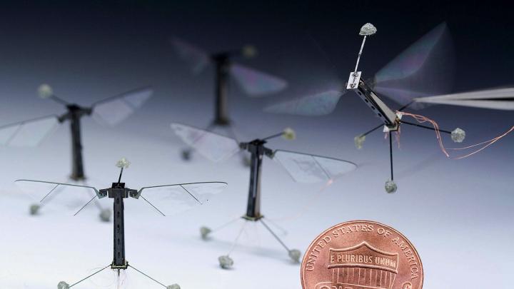 Robobee price outlet