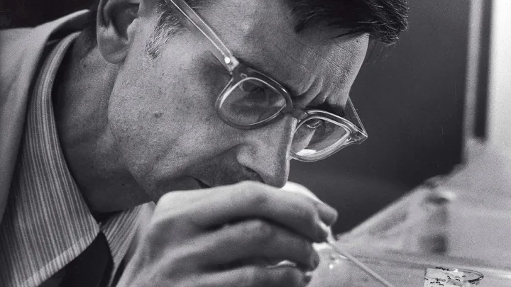 Photograph of E.O. Wilson observing ants