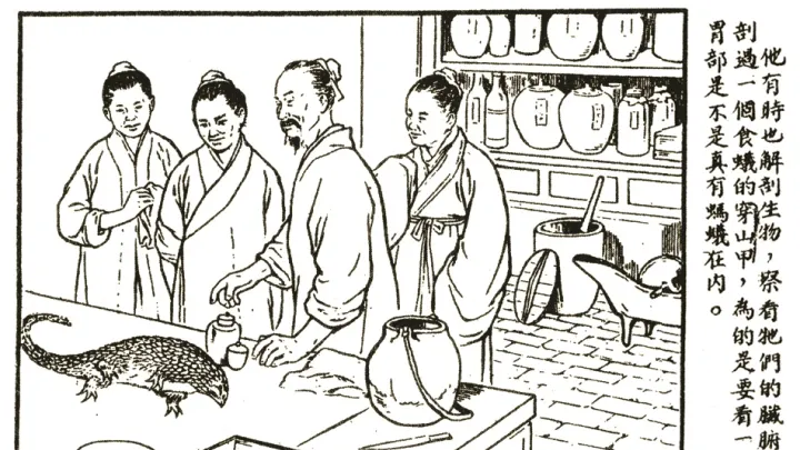Li prepares to dissect a pangolin, from a popular pamphlet, <i>Li Shizhen: Great Scholar of Medical Drugs</i> (1955).