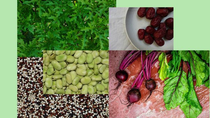 collage of arugula, dates, Fava beans, quinoa, beets