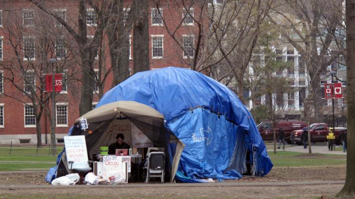 The geodesic dome was removed by Harvard officials on January 13.