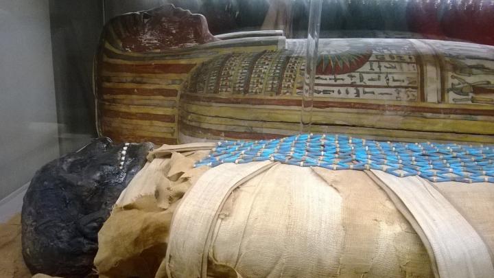 The mummy of Padihershef rests next to its coffin in the Massachusetts General Hospital's Ether Dome.