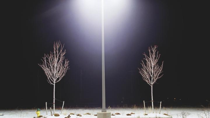 From <i>Domesticated,</i> a series of photographs by Amy Stein on display at the Harvard Museum of Natural History.