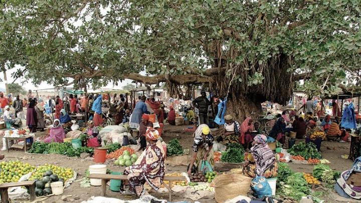 Farmers often have to travel several hours to reach a village market like this one, in King’ori, Tanzania.