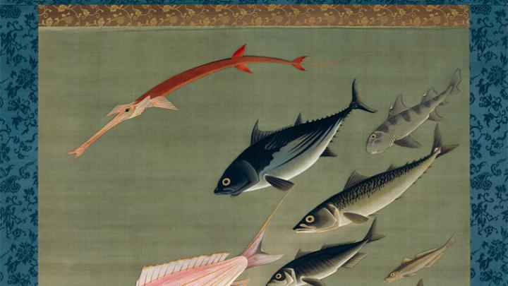 <i>Fish</i> (c. 1765-1766)