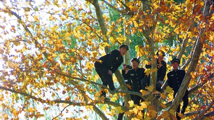 Andong, Republic of Korea, late 1960s. David R. McCann says, “There was a soccer game one weekend, with a big crowd that had come to watch. This photo shows some students from Andong Agriculture and Forestry High School, where I used to teach, climbing up on a tree to get a better look at the game. The most impressive thing here is the boy balancing himself on the bicycle.”