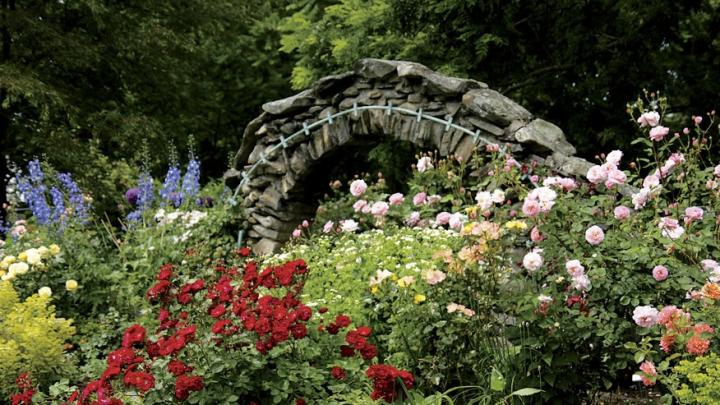 A stone archway leads to the rose garden at Blithewold