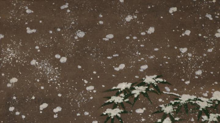 A young woman stands in a field in the snow