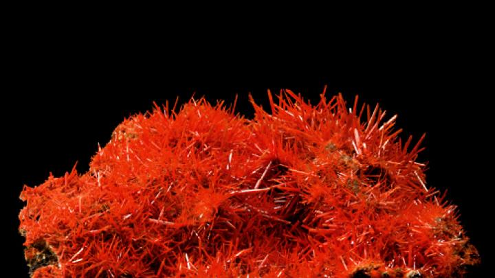 Crocoite from the Adelaide Mine in Tasmania