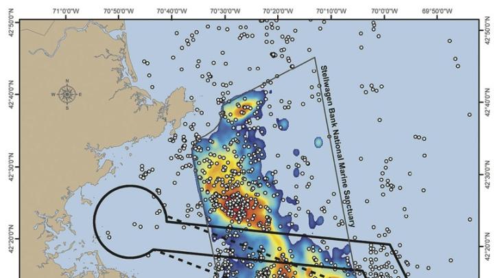 In this map of the Stellwagen Bank National Marine Sanctuary, the dots show right whales; the colors, the density of baleen whales.