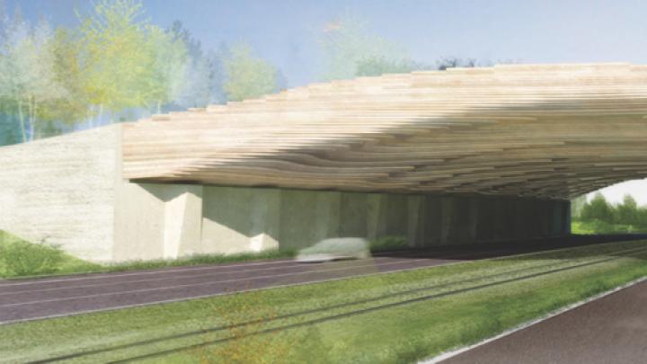 This design from Balmori Associates shows their plan for a timbered overpass.