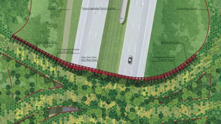 An overview of the vegetation plan for the crossing as proposed in the submission from Janet Rosenberg & Associates