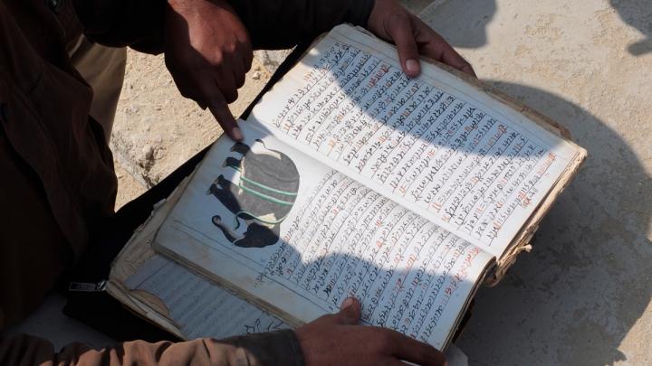 Mehrotra examines a book of traditional remedies for elephant ailments.