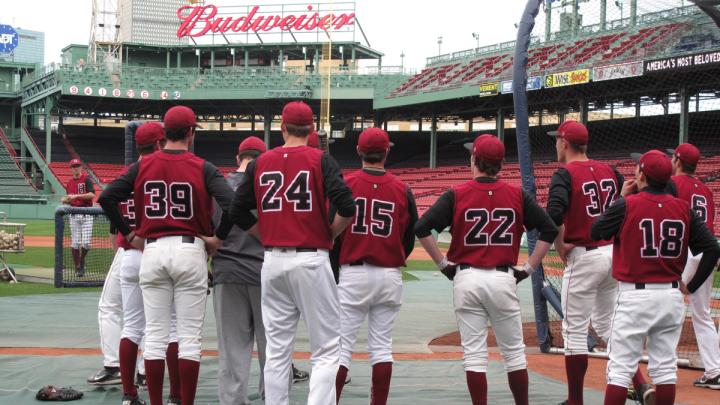 Harvard players near the batting cage.