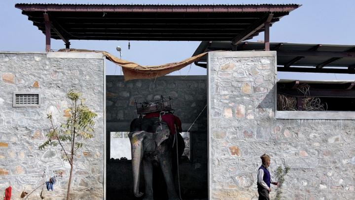 Mehrotra designed Hathigaon (“elephant village”) to house low-paid elephant keepers, their families, and their elephants. Each family’s dwelling includes an elephant “garage" with a door that opens outside, not into the inner courtyard, where children can safely play.