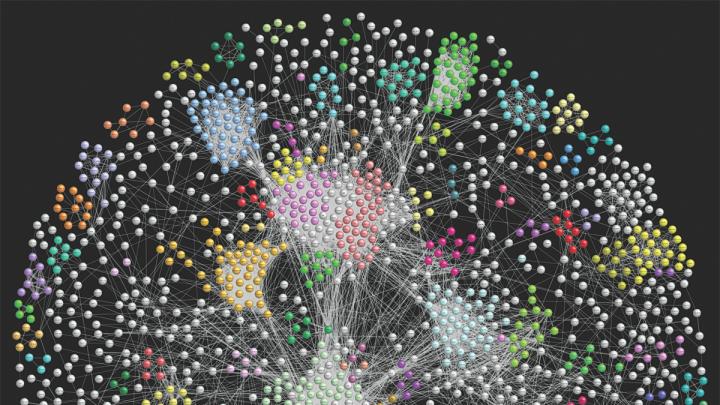 A large-scale map of protein interactions in fruit flies provides new ways to study disease.
