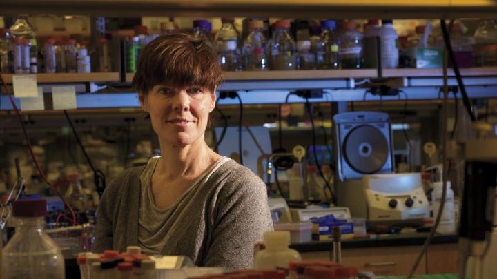 Suzanne Walker discovered targocil, a molecule that blocks certain mechanisms of drug resistance. 