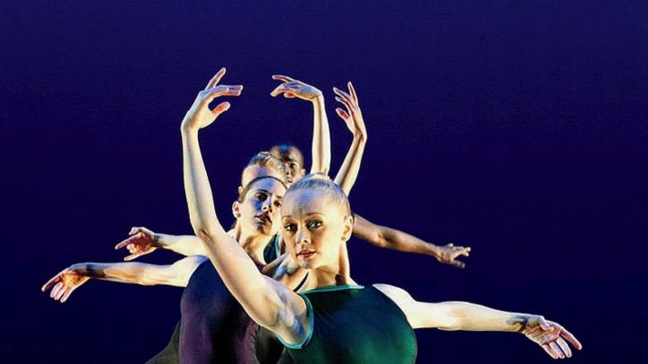 Sink into it: ballet choreographer Claudia Schreier, profiled